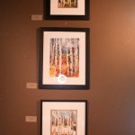 Art Aid Project - Shain Gallery-2246